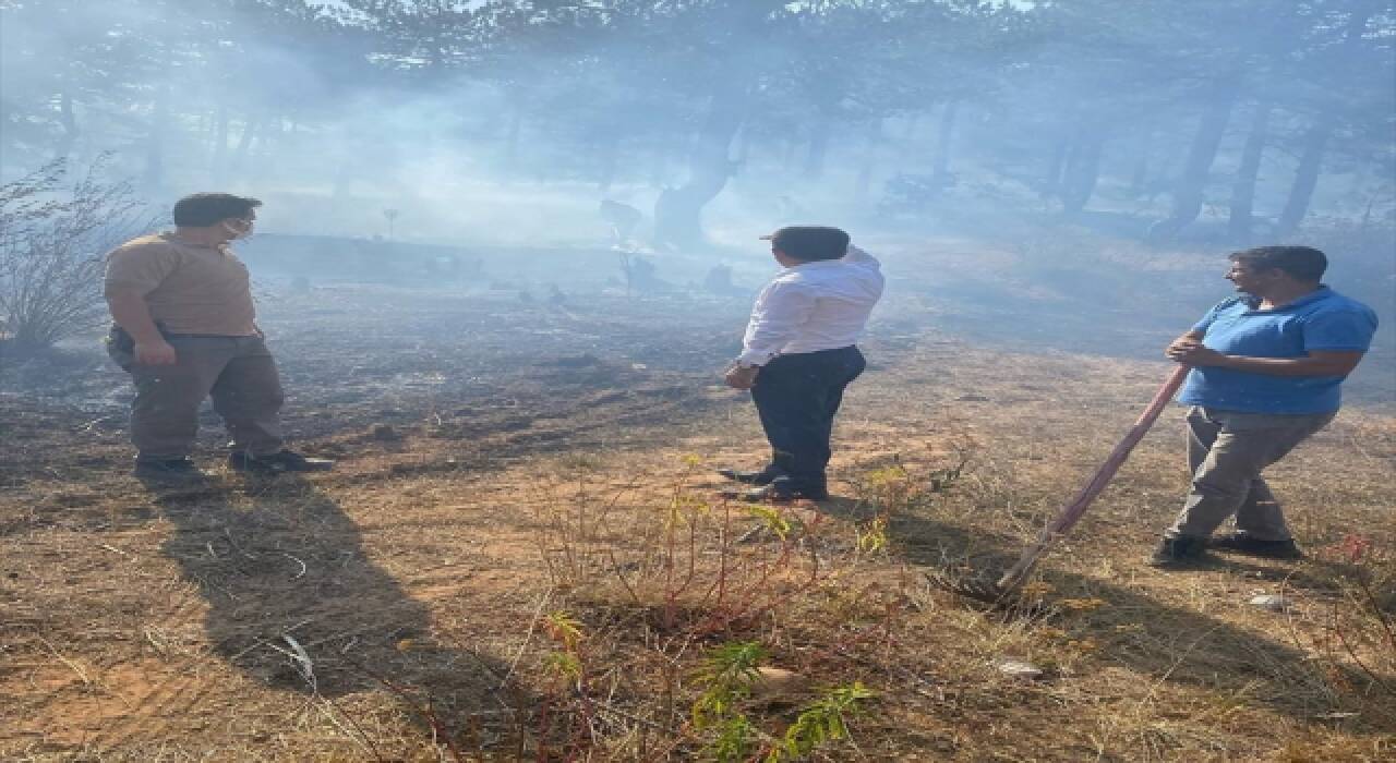 Mersin’deki Olba Antik Kenti’nde arkeolojik kazılar sürüyor