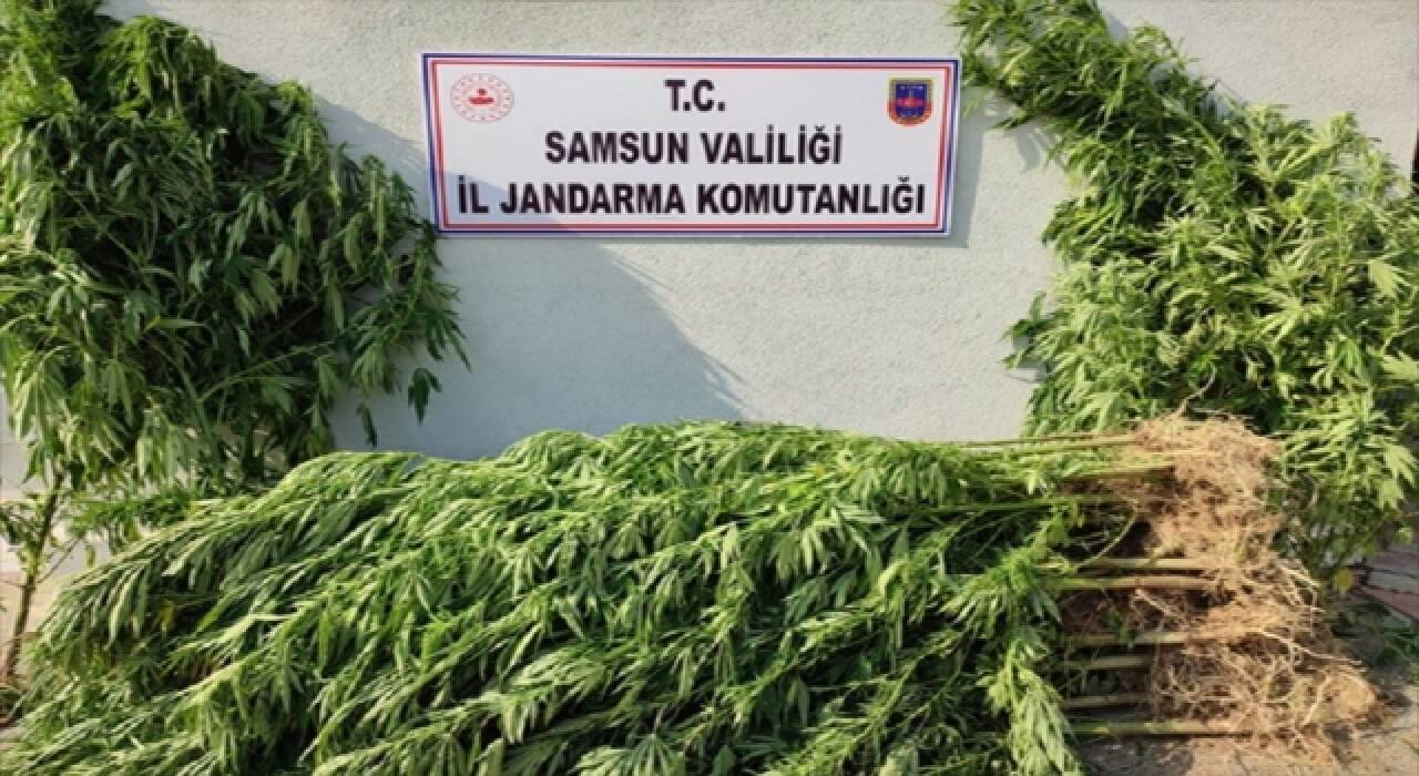 Samsun’da uyuşturucu operasyonu düzenlendi