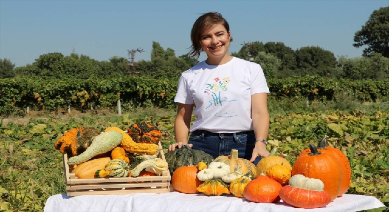 Genç girişimci kadın minyatür kabakla ata mesleği çiftçiliğe döndü