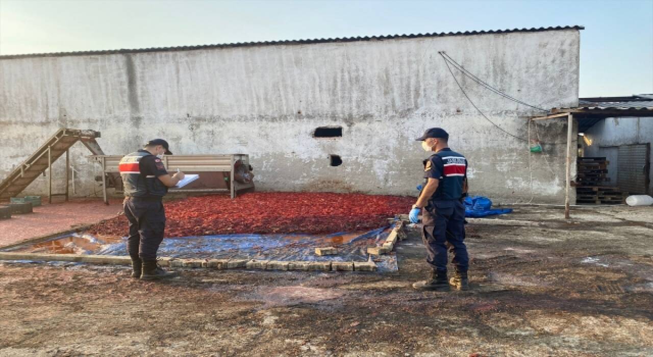 İzmir’de sağlıksız koşullarda üretilen 52 bin 409 kilogram salçaya el kondu