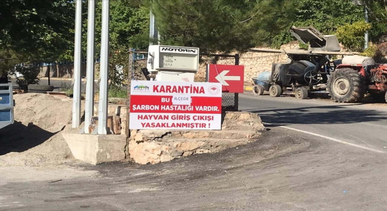 Siirt’te şarbon tespit edilen Eruh ilçesi karantinaya alındı