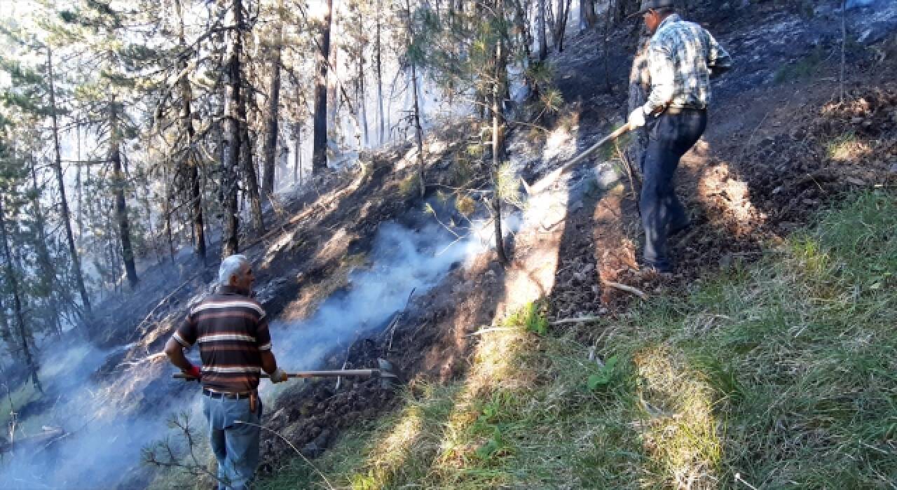 Bolu'da yangın paniği