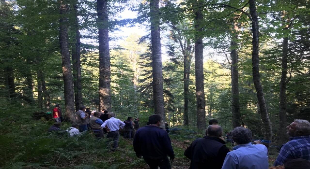 Kestiği ağacın altında kalan Gölormanı Köyü Orman Kooperatifi Başkan Yardımcısı Ay öldü