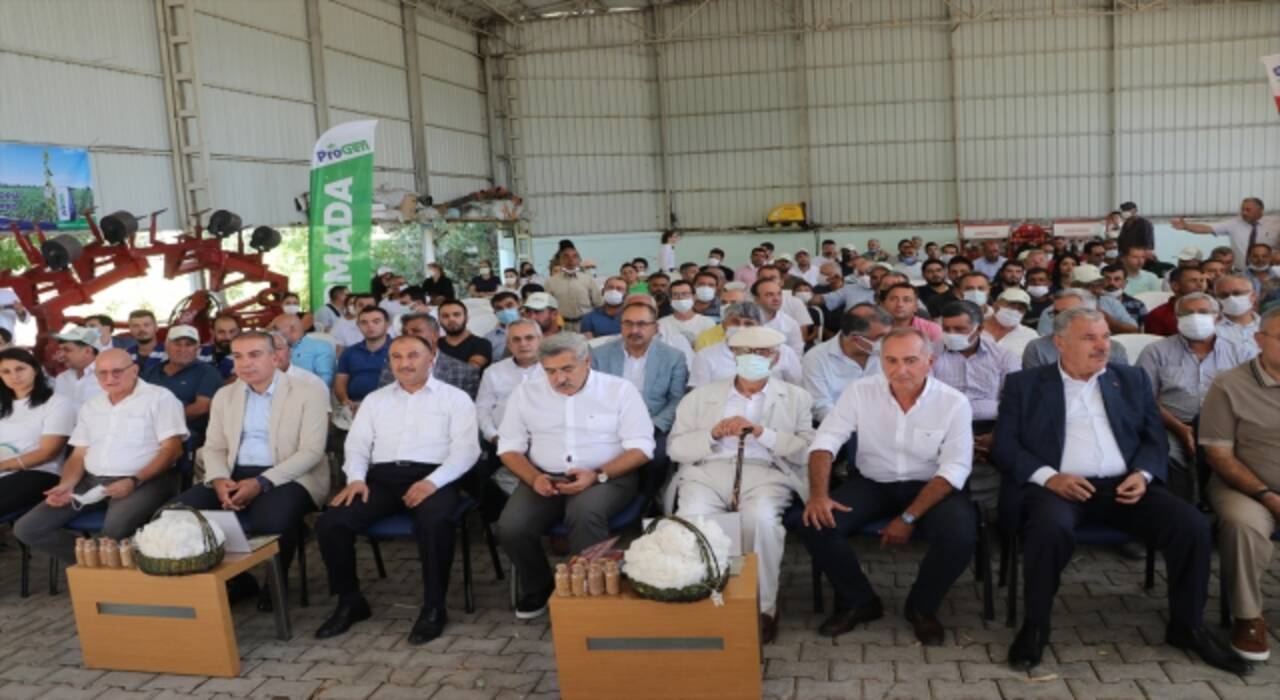 Hatay’da yeni nesil pamuk çeşitleri ”tarla günü” etkinliğiyle tanıtıldı