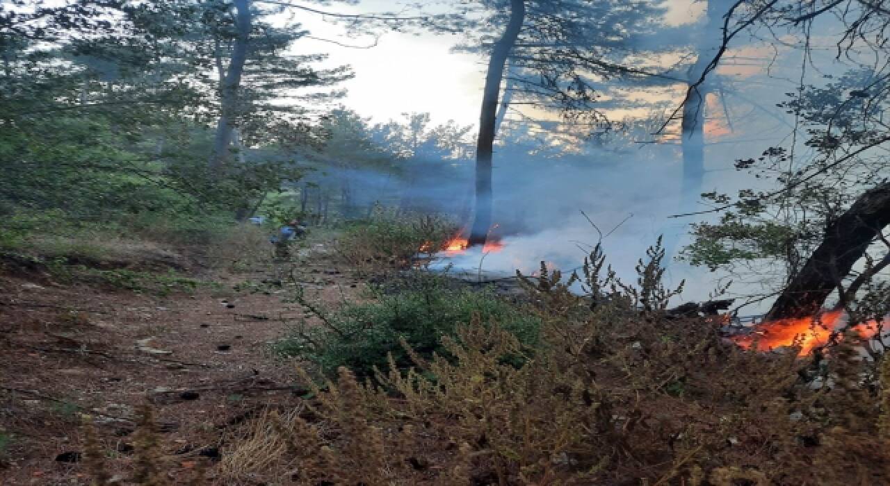 Hatay’da çıkan orman yangınına havadan ve karadan müdahale ediliyor