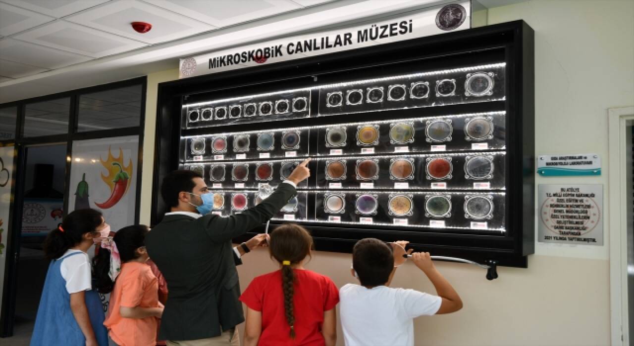 Mikroskobik Canlılar Müzesi