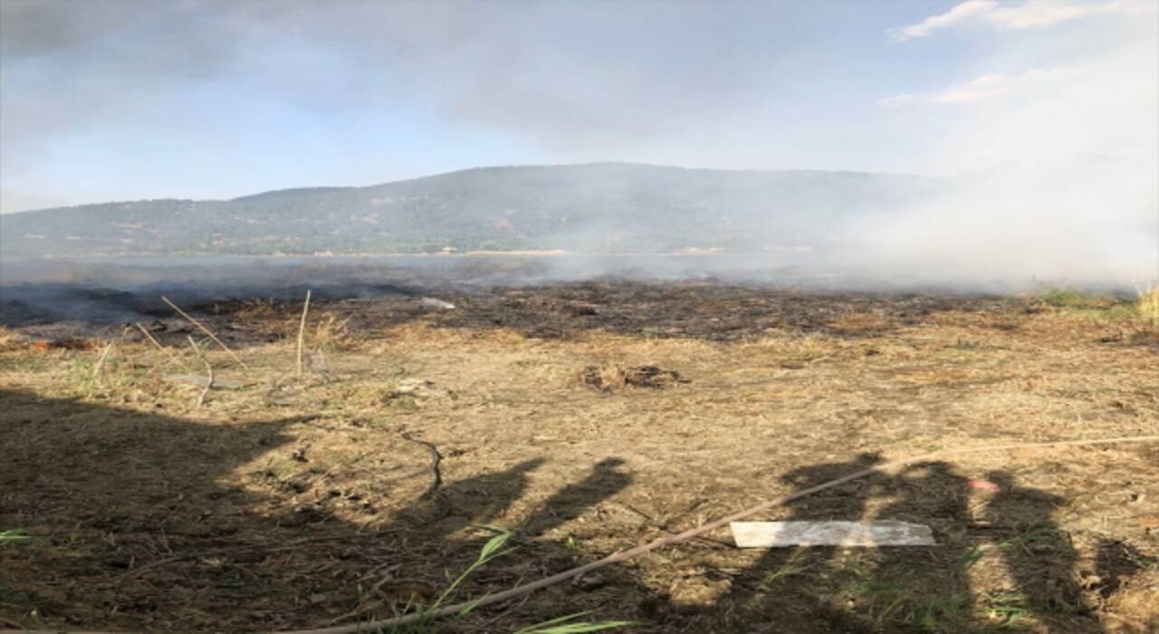 İzmir’de yangın paniği