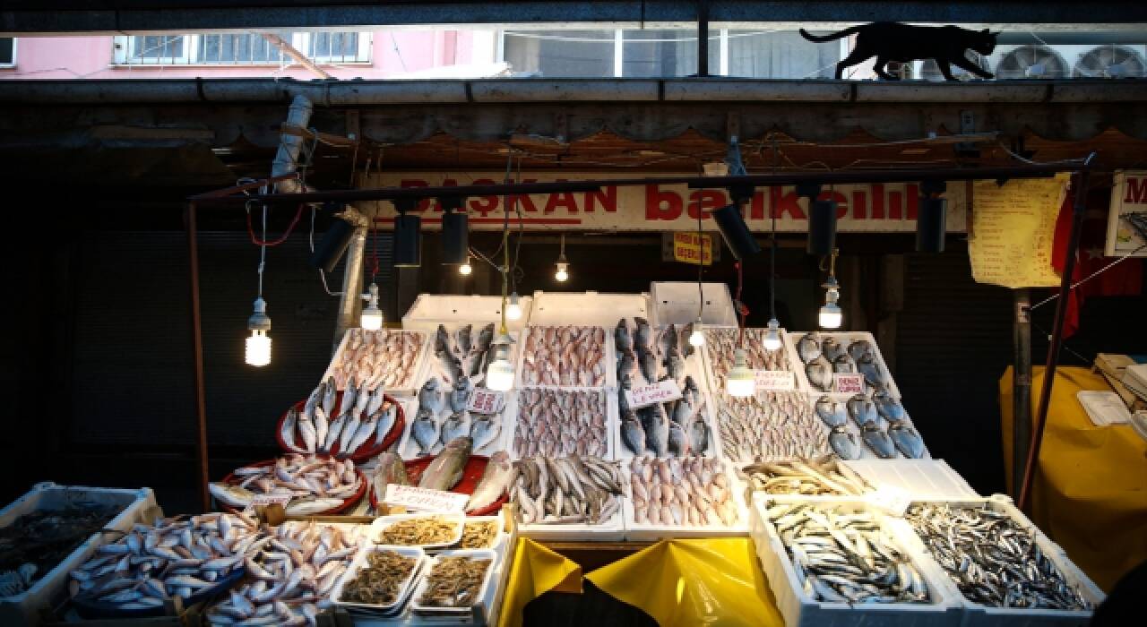 Mersinli balıkçılar denizden ”bereketle” döndü