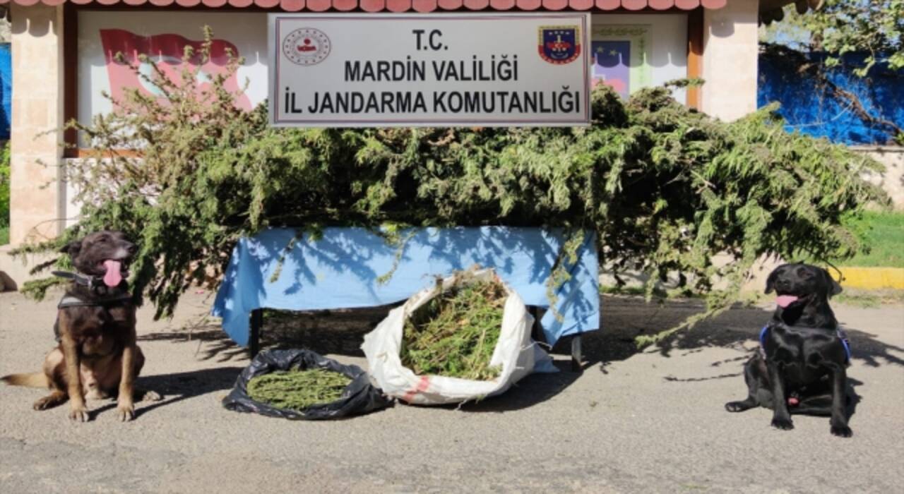 Mardin’de bir evde 11 kilogram esrar bulundu