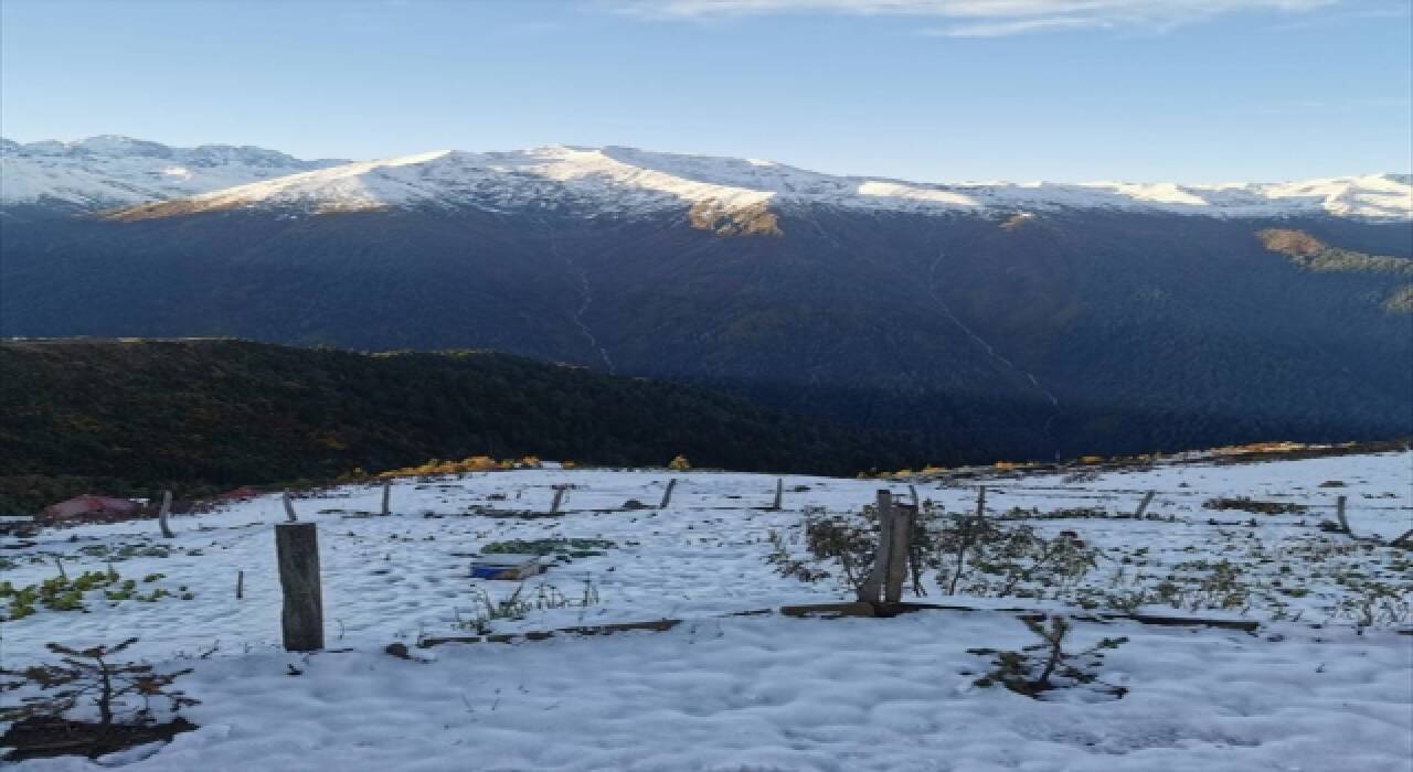 Meteoroloji sarı uyarı verdi