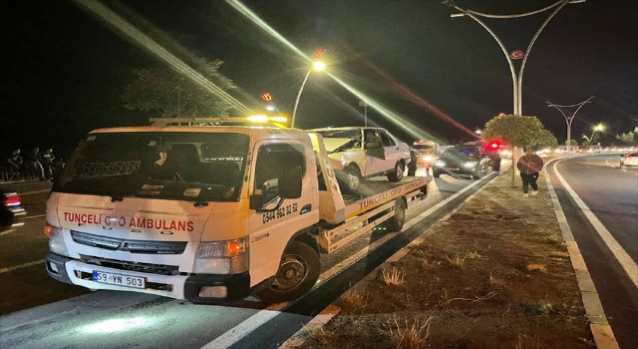 Tunceli’de domuz sürüsünün neden olduğu zincirleme kazada 2 kişi yaralandı