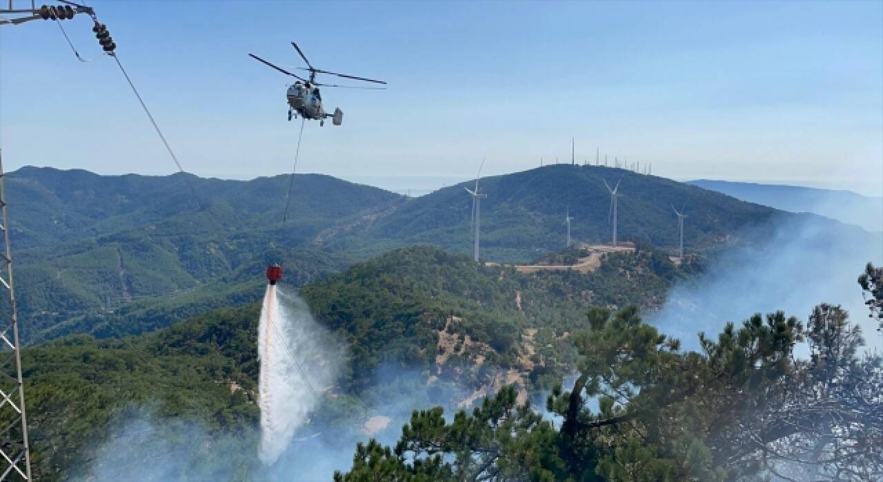 İzmir'de orman yangını