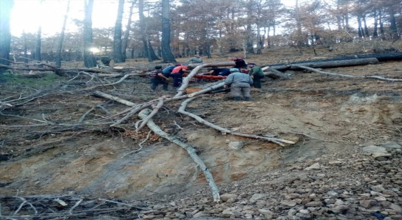 Mersin’de yaralı orman işçisi 2 kilometre sedyede taşınarak hastaneye ulaştırıldı