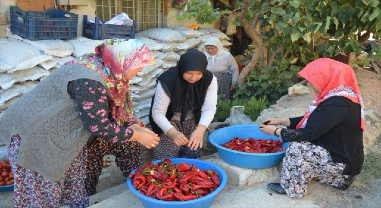 Demirci tarhanası şifa kaynağı