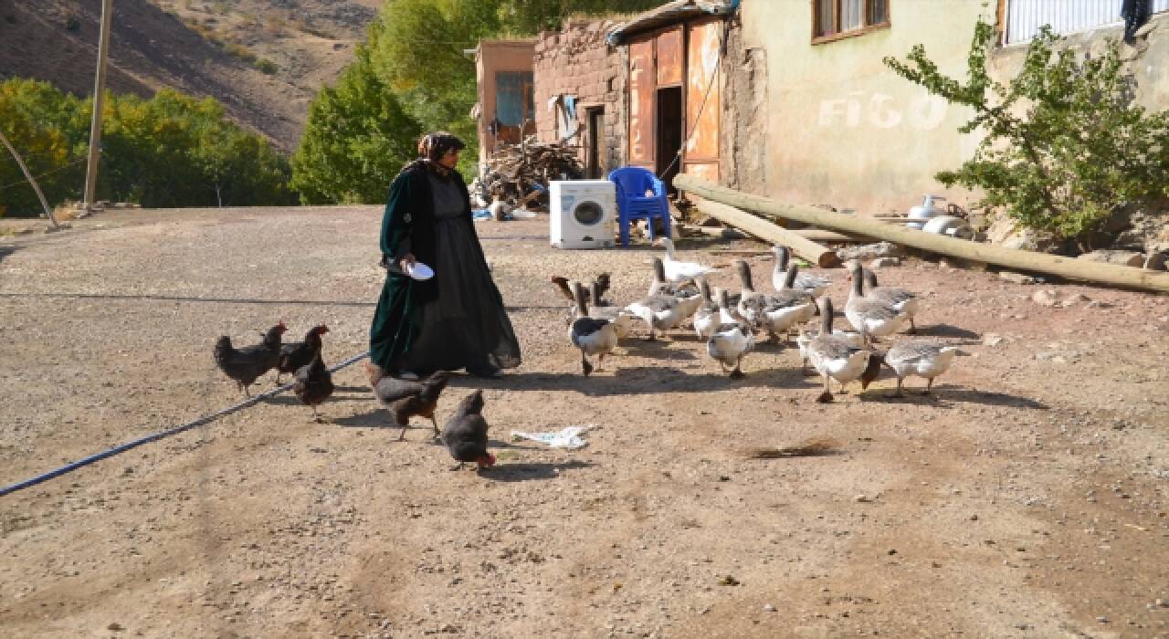 Hakkari’de iki doz aşı yaptıran 117 yaşındaki kadın Kovid19’u hafif atlattı