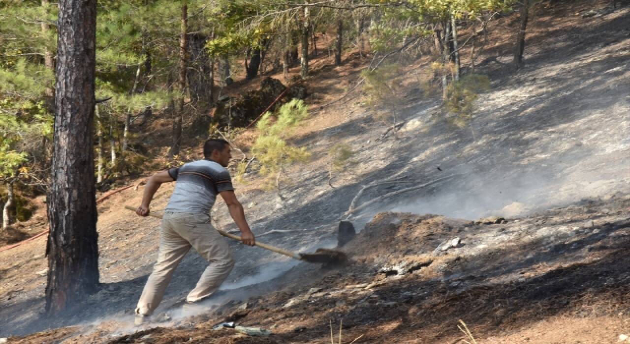 Kahramanmaraş’ta çıkan orman yangını kontrol altına alındı