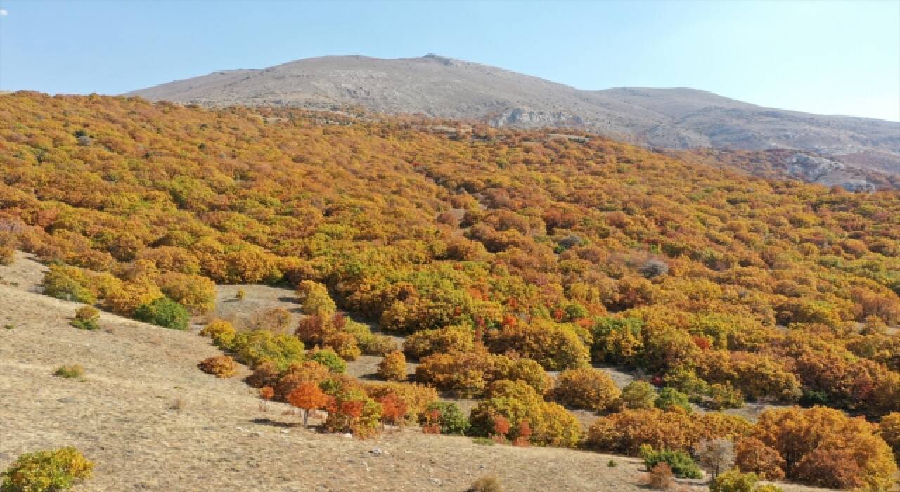 Sivas’ta Tecer Dağı ve Paşabahçe Mesire Alanı sonbahar renkleriyle etkiliyor