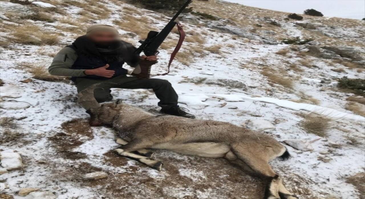 Erzincan’da iki yaban keçisi avlayan kişiye 57 bin 129 lira ceza uygulandı