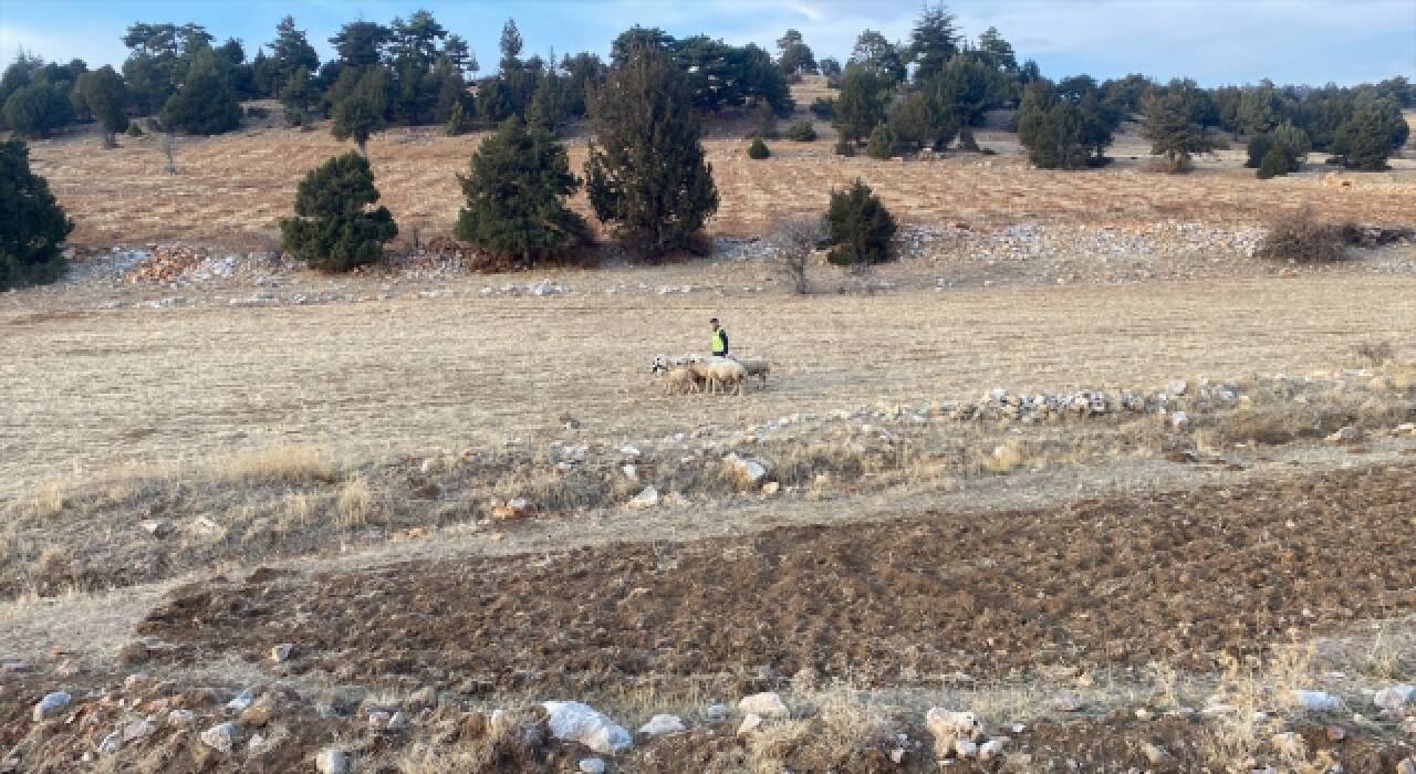 Karaman’da jandarma ekipleri kayıp koyunları drone yardımıyla buldu