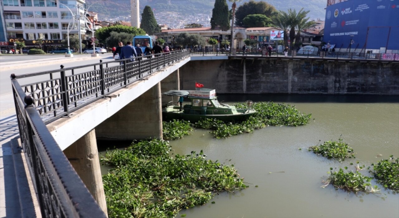 Asi Nehri’ni kaplayan su sümbüllerini temizleme çalışması sürüyor