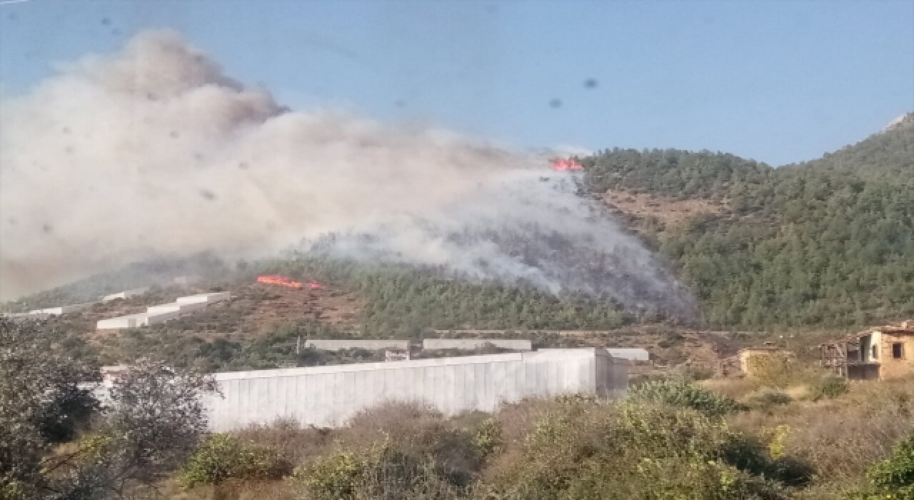 Mersin’de çıkan orman yangınına müdahale