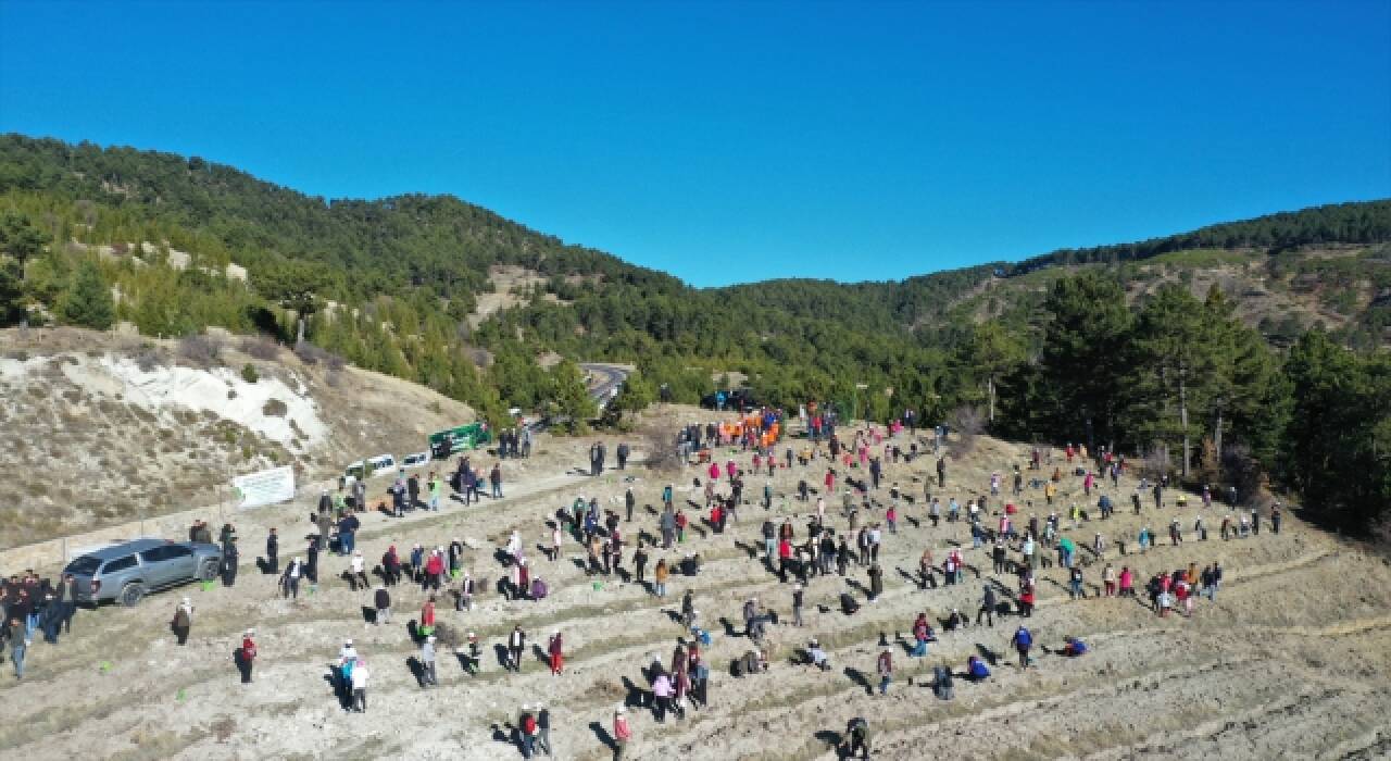 İzmir, Aydın ve Manisa’da binlerce fidan toprakla buluşturuldu