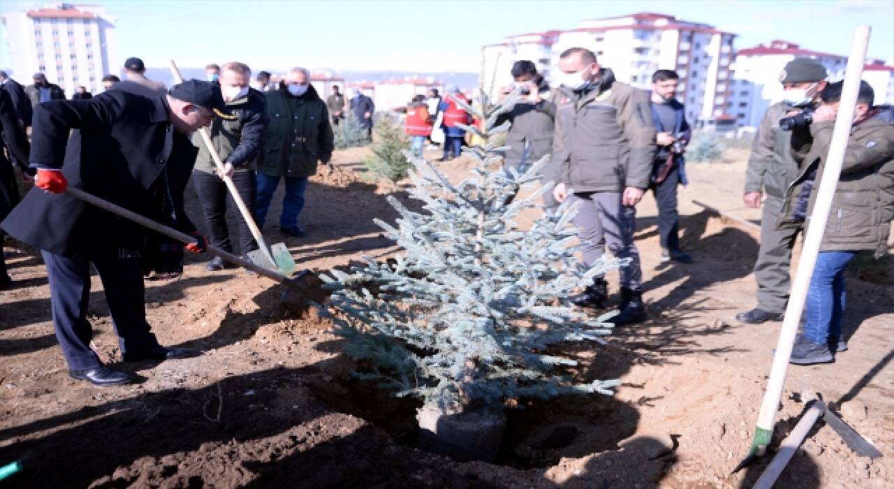 Çeşitli illerde fidanlar toprakla buluşturuldu