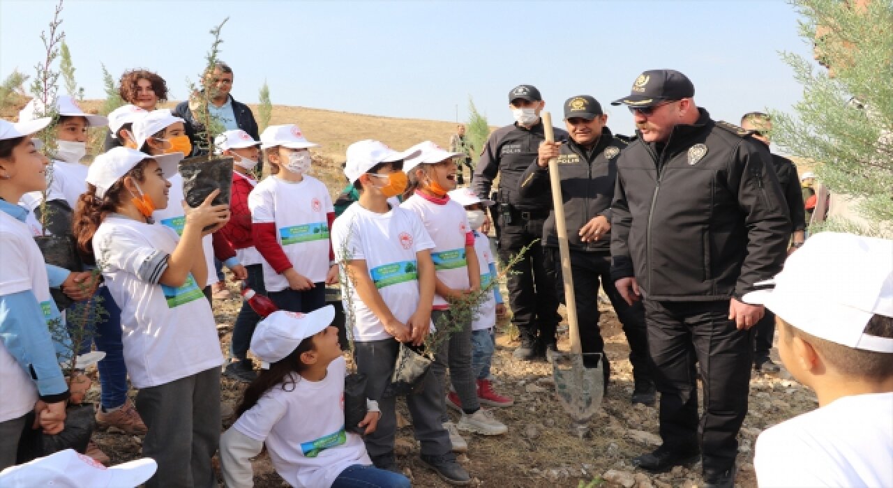 Güneydoğu’da binlerce fidan toprakla buluştu 