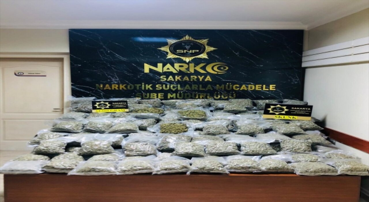 Sakarya’da 64 kilo 660 gram skunk ele geçirildi