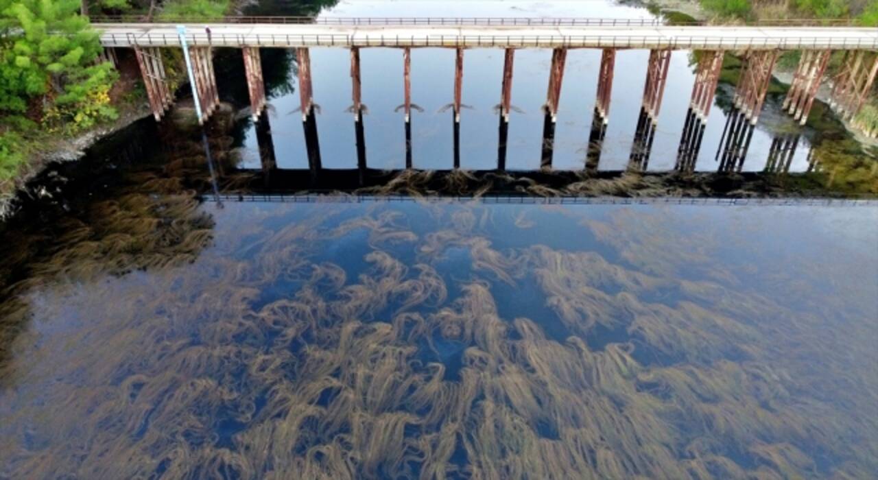 Ceyhan Nehri çevresinde sonbaharın renkleri hakim oldu