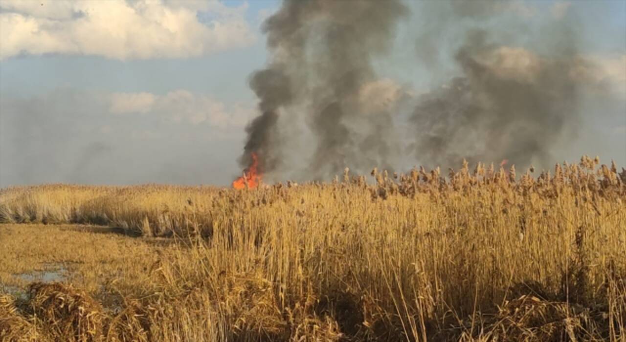 Eber Gölü çevresindeki sazlık alanda yangın çıktı