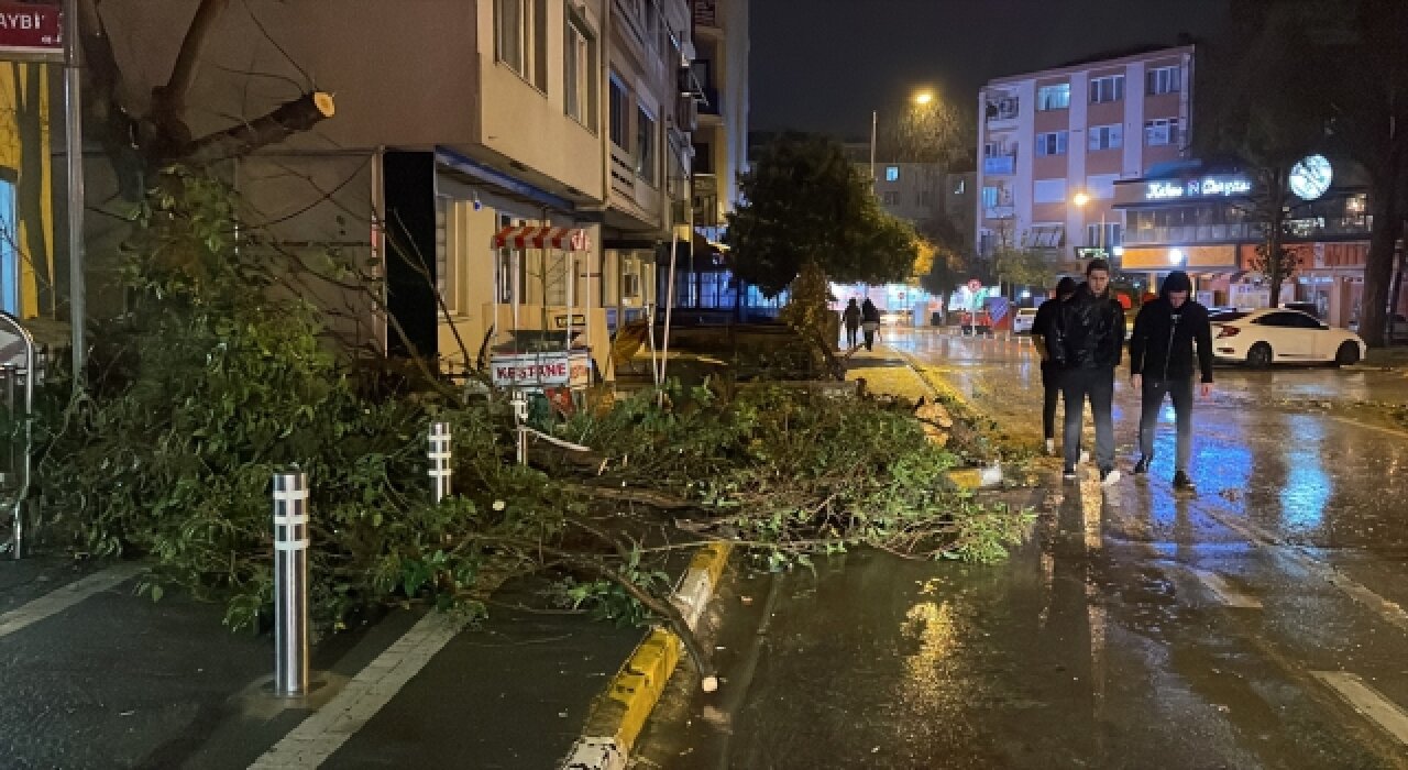 Balıkesir’de FIRTINA ağaçları ve otobüs durağını devirdi!