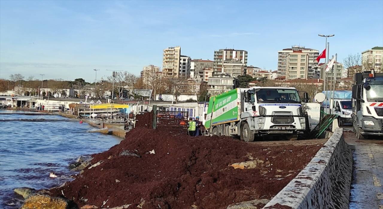 Caddebostan Sahili kırmızıdan temizleniyor