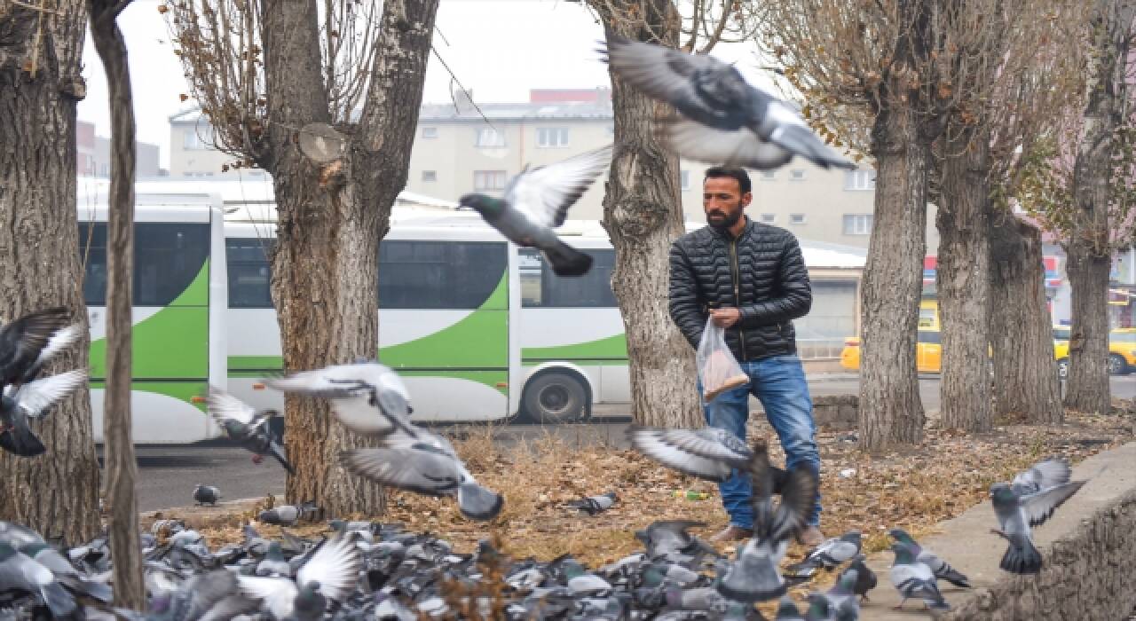 Beyaza bürünen Kars’ta aç kalan güvercinler unutulmadı