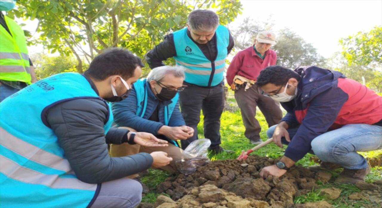 Aydın'daki yarıklar kuraklıktan oluşmuş!