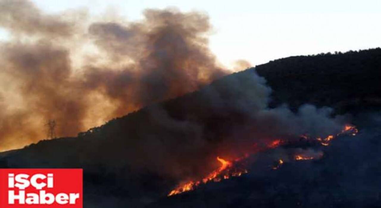 Mersin Silifke'deki orman yangınına müdahale sürüyor