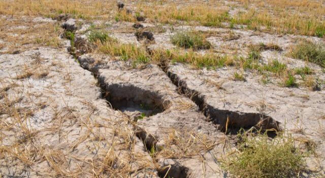 Karaman’da tarlalarda yüzey yarıkları oluştu