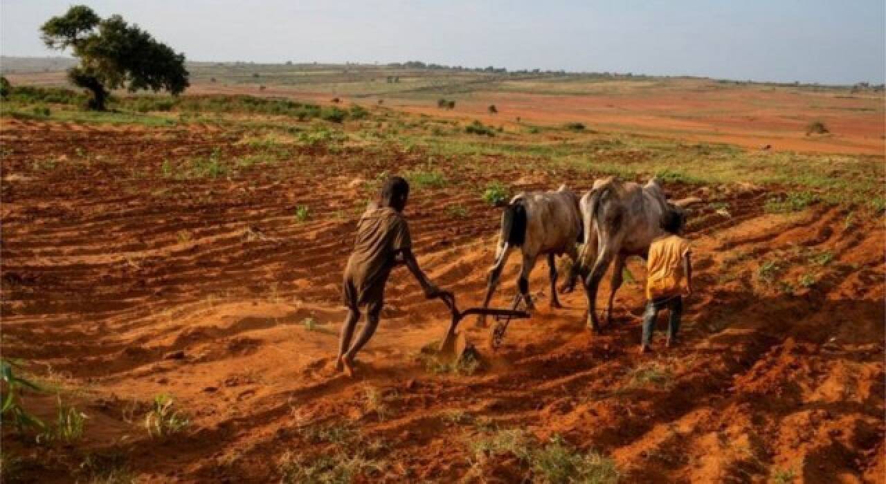 Krizin Kıtlığa Neden Olduğu İlk Ülke Madagaskar