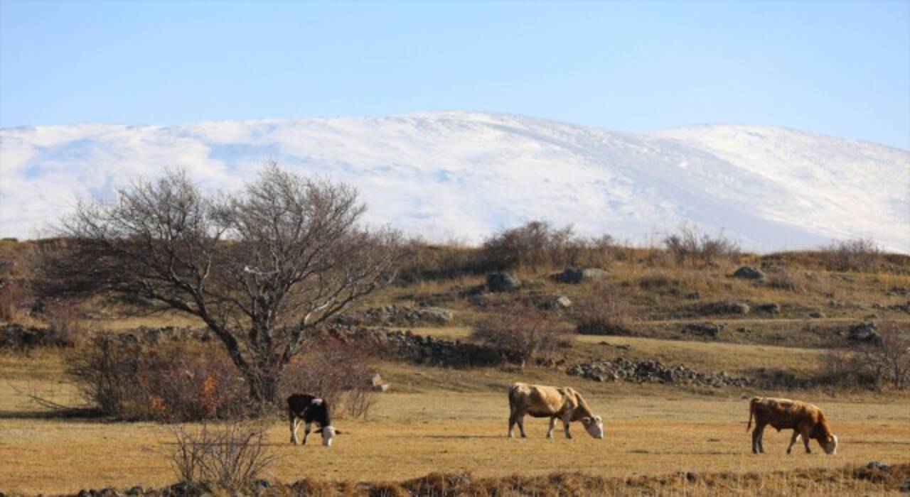 Aras Dağları’nda iki mevsim bir arada