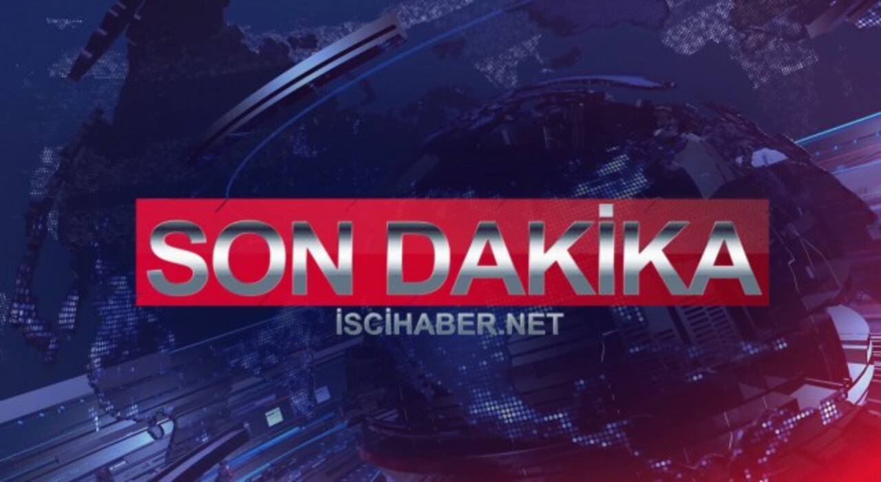 Dünya Erkekler Boks Şampiyonası'nda madalya sevinci