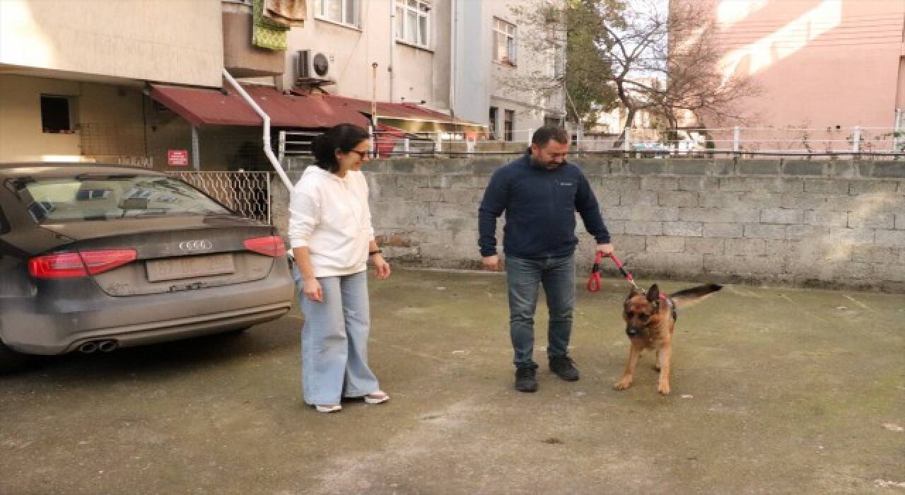 Çalınan köpek bulundu