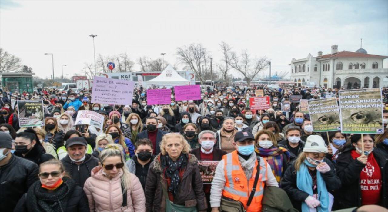 Hayvanseverler Kadıköy’de toplandı