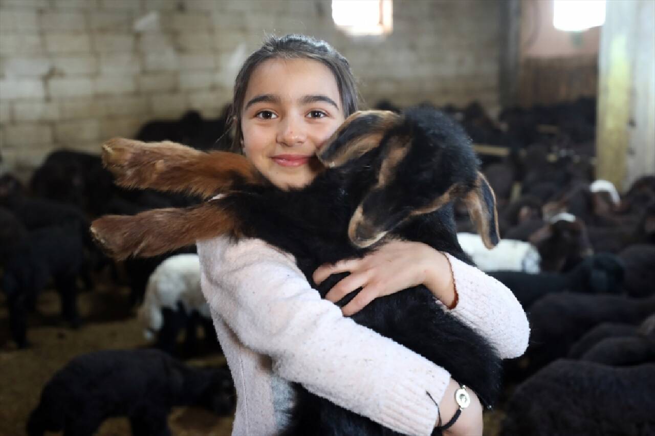 "Doğu'nun Çukurovası" yeni doğan kuzu ve oğlaklarla şenleniyor