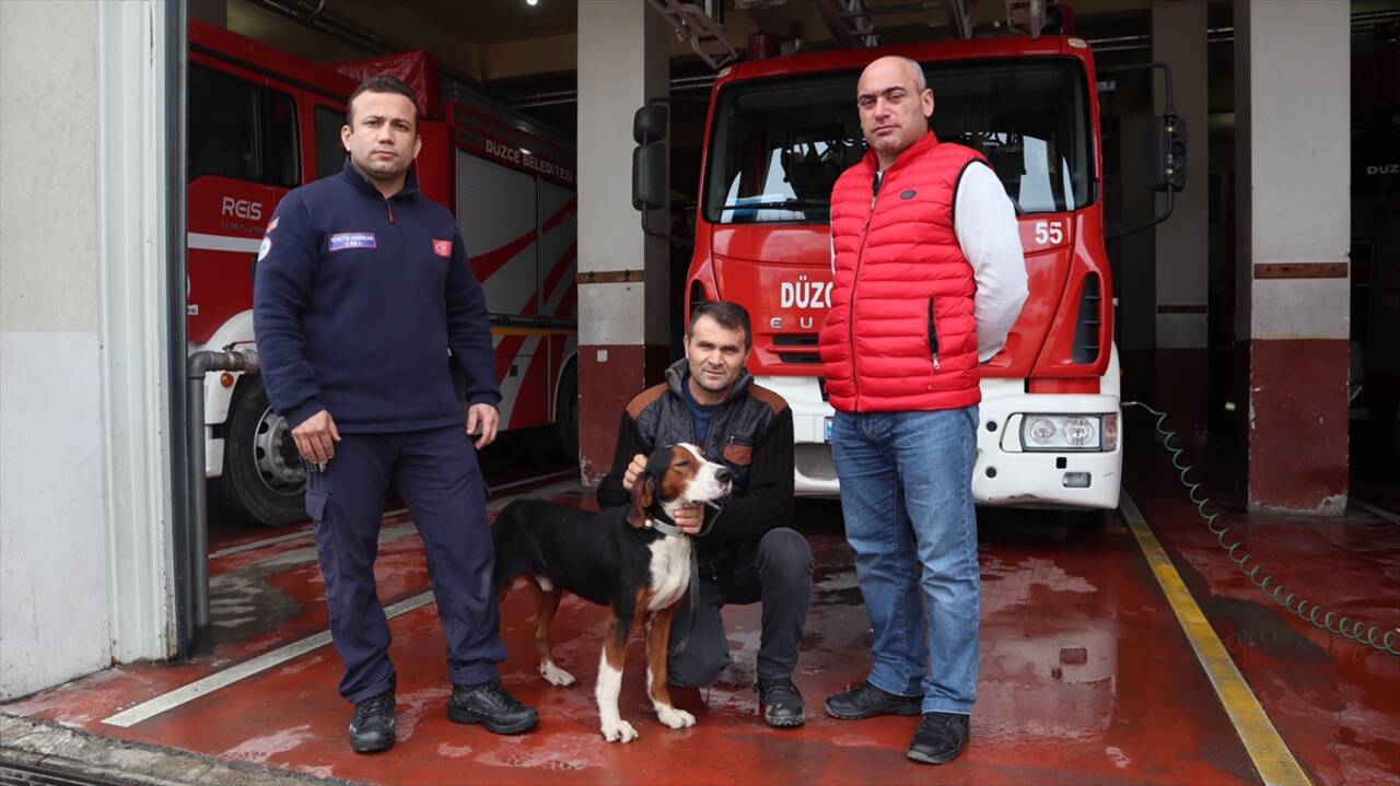 DÜZCE - Dere yatağında mahsur kalan köpek itfaiye ekiplerince kurtarıldı