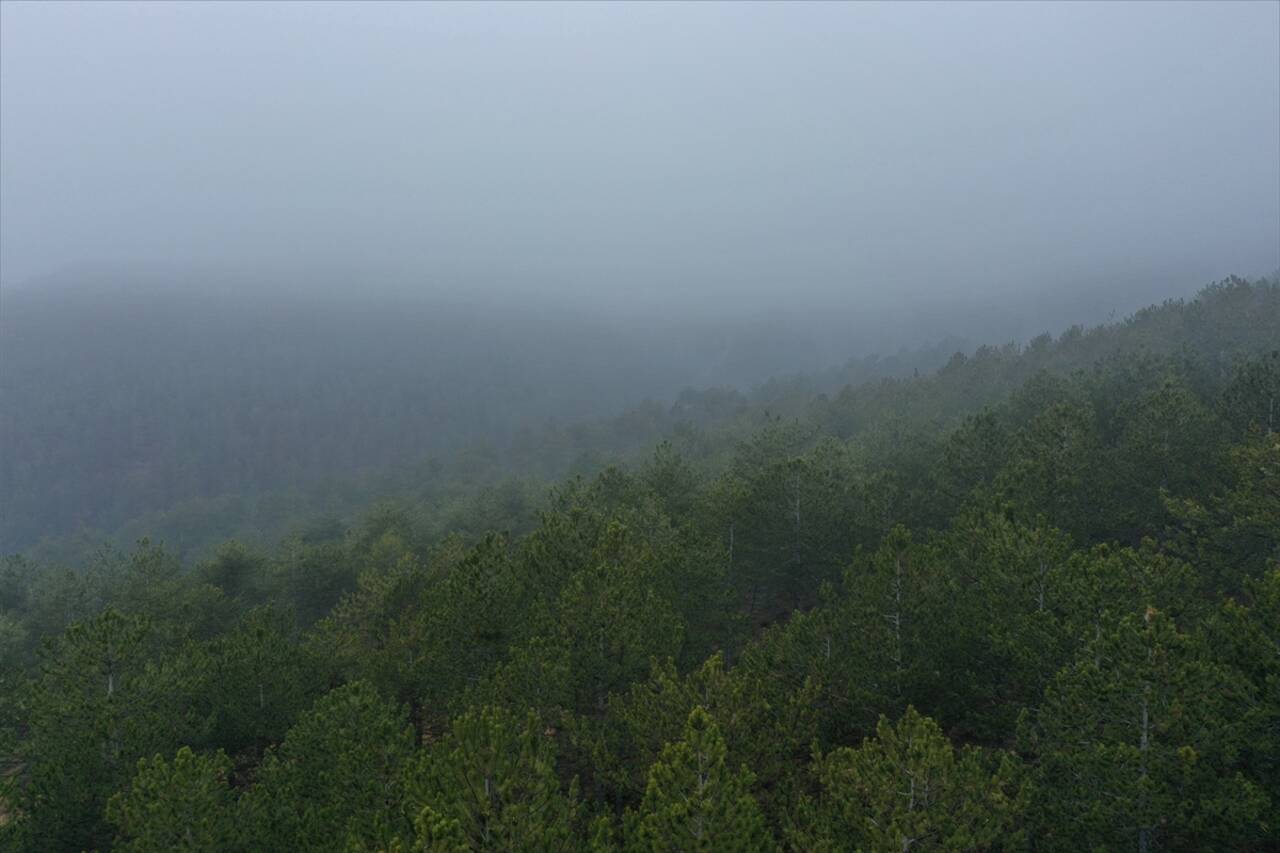 KASTAMONU - Sis ulaşımda aksamalara neden oluyor