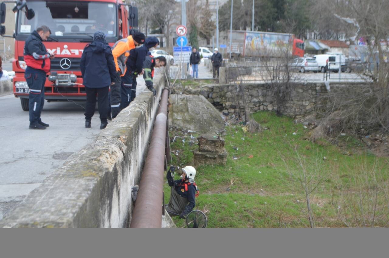 Kırklareli'de deredeki kum adacığında mahsur kalan köpeği itfaiye ekipleri kurtardı