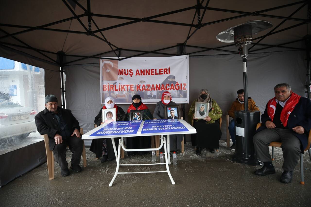 MUŞ - İkna çalışması sonucu 2 teröristin teslim olması Muş'ta eylem yapan aileleri sevindirdi