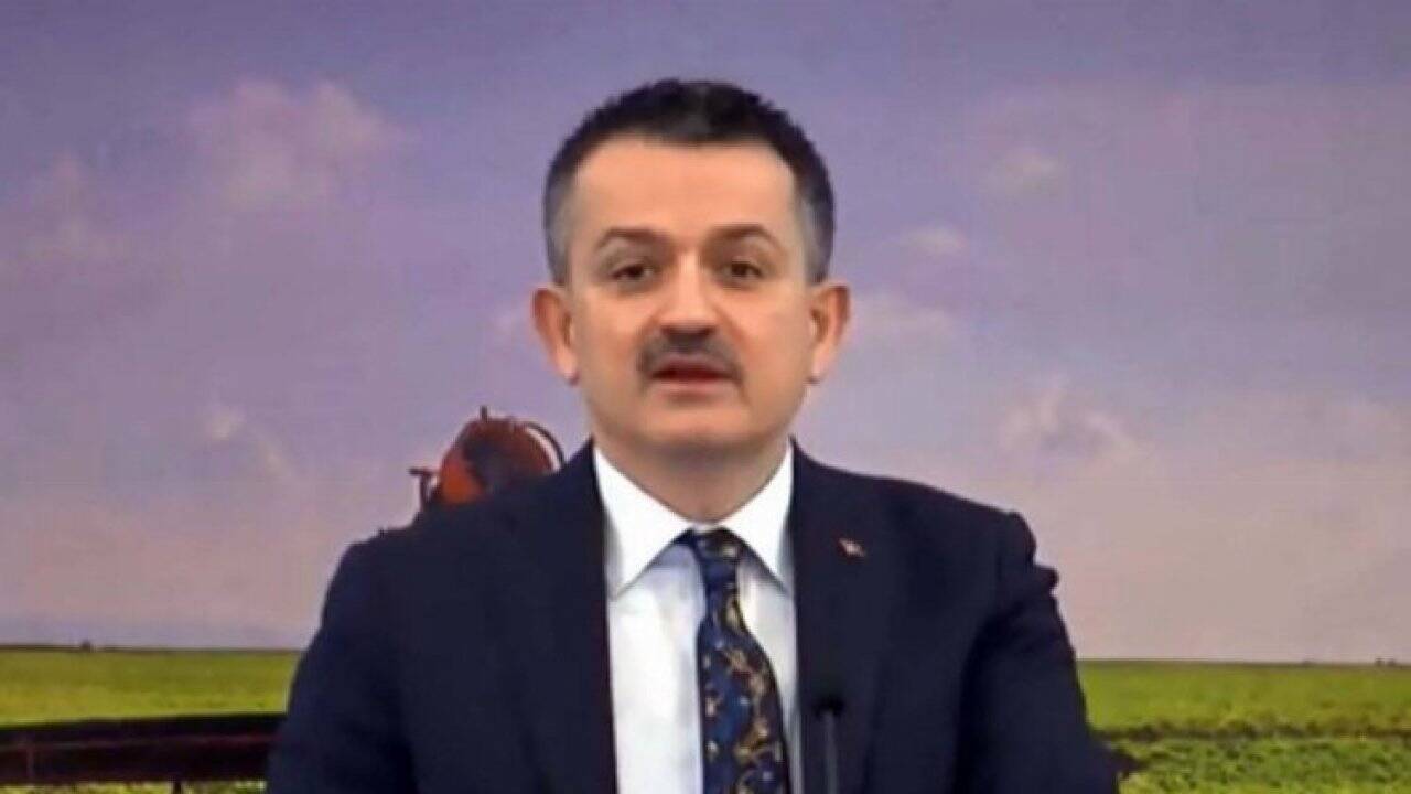 Tarımsal destekler hesaplara yatırılıyor