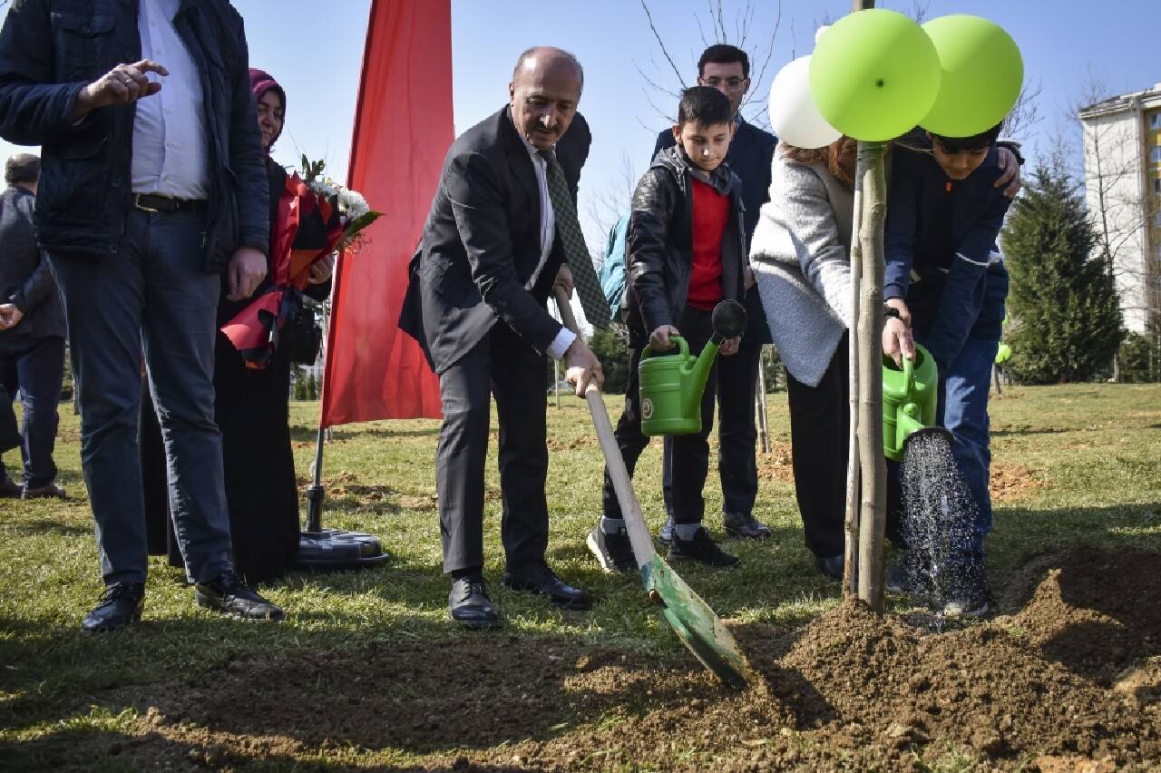 112 çınar fidanı dikildi: 112 ağaç yaşayacak