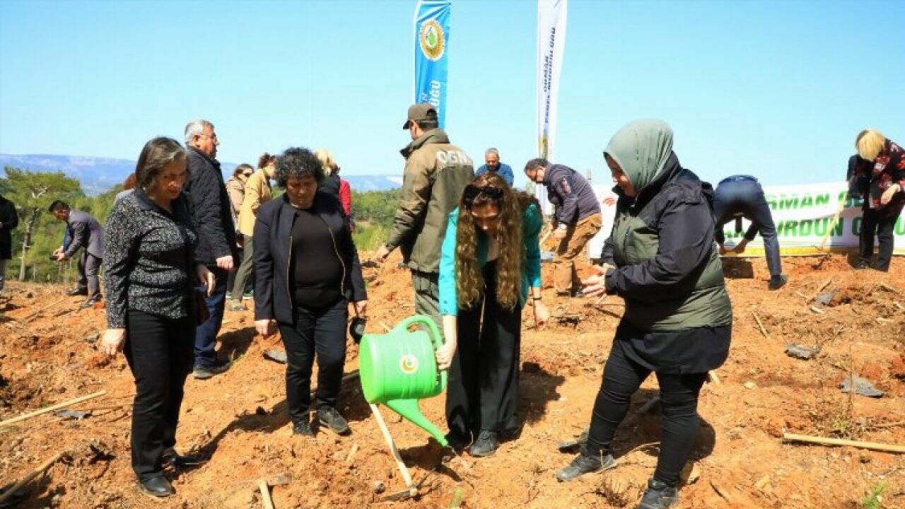 Avni Burak Yenice için hatıra ormanı oluşturuldu